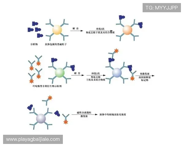 关于真人BG平台归属的详细说明以及不同平台的优势分析